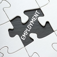 employment puzzle piece
